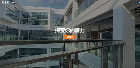 海外藝術教育網站建設 